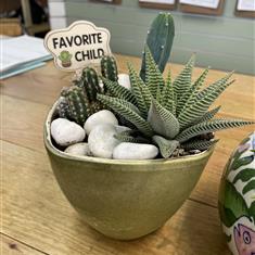 Succulent &amp; Cactus Garden