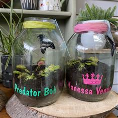 My Pet Venus Fly Trap