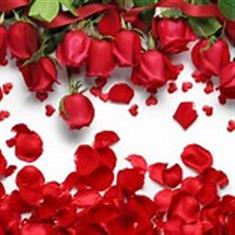 Valentines Florist Choice Box Arrangement 