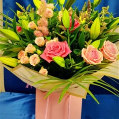 Blush and Bloom